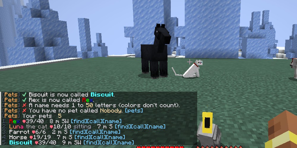 Chat after renaming: Biscuit in bold aqua, Rex in rainbow colors, Luna in an orange-to-pink gradient followed by grey 'the cat'; a too-short name and an unknown pet get red error lines.